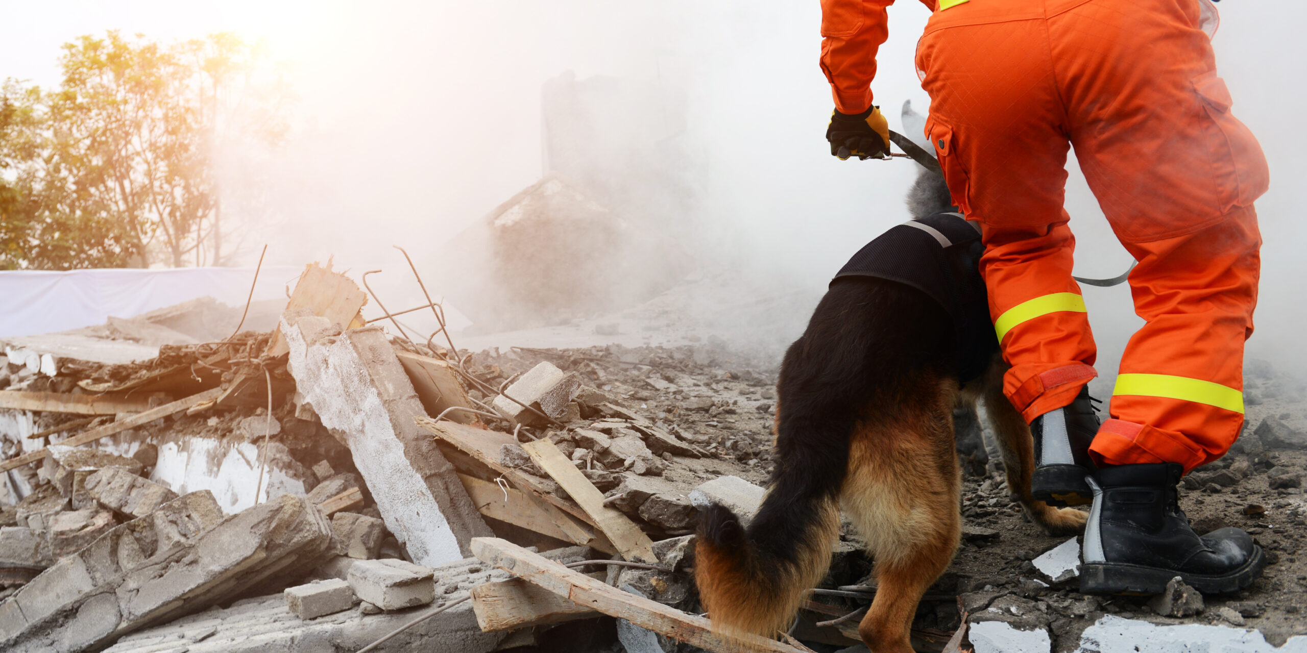 Search,And,Rescue,Forces,Search,Through,A,Destroyed,Building,With